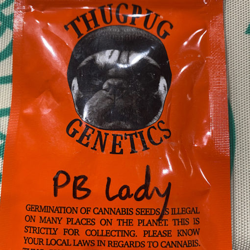 Thug Pug PB Lady - Image 2