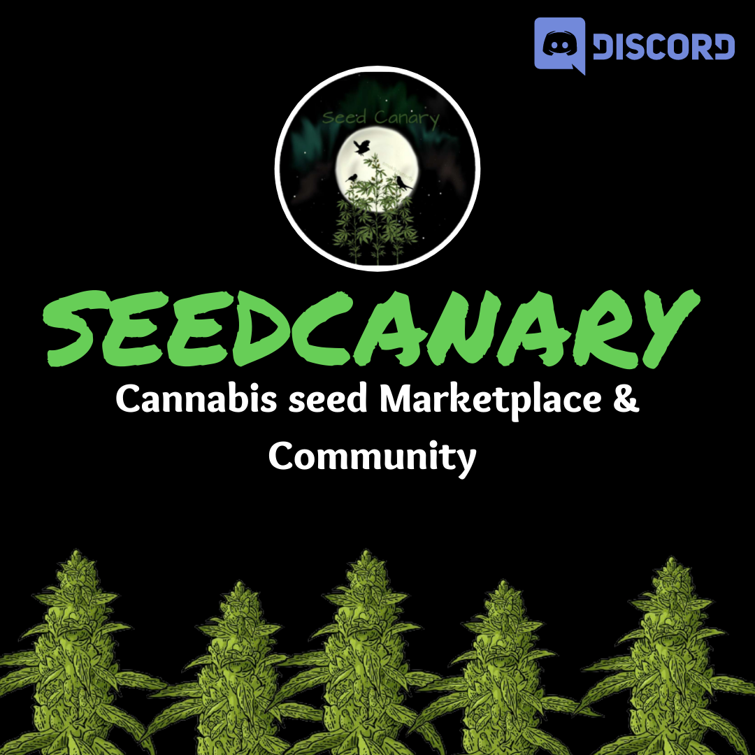 Official Discord - Seed Canary