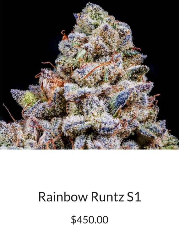 Rainbow Runtz X The ZaZa R1 Reversal Special Order Copycat