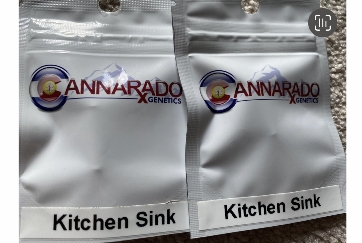 cannarado genetics kitchen sink