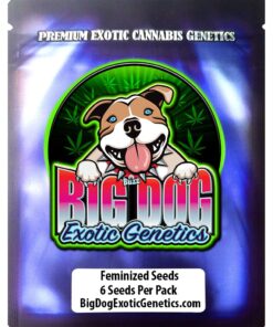 Big Dog Exotic Genetics